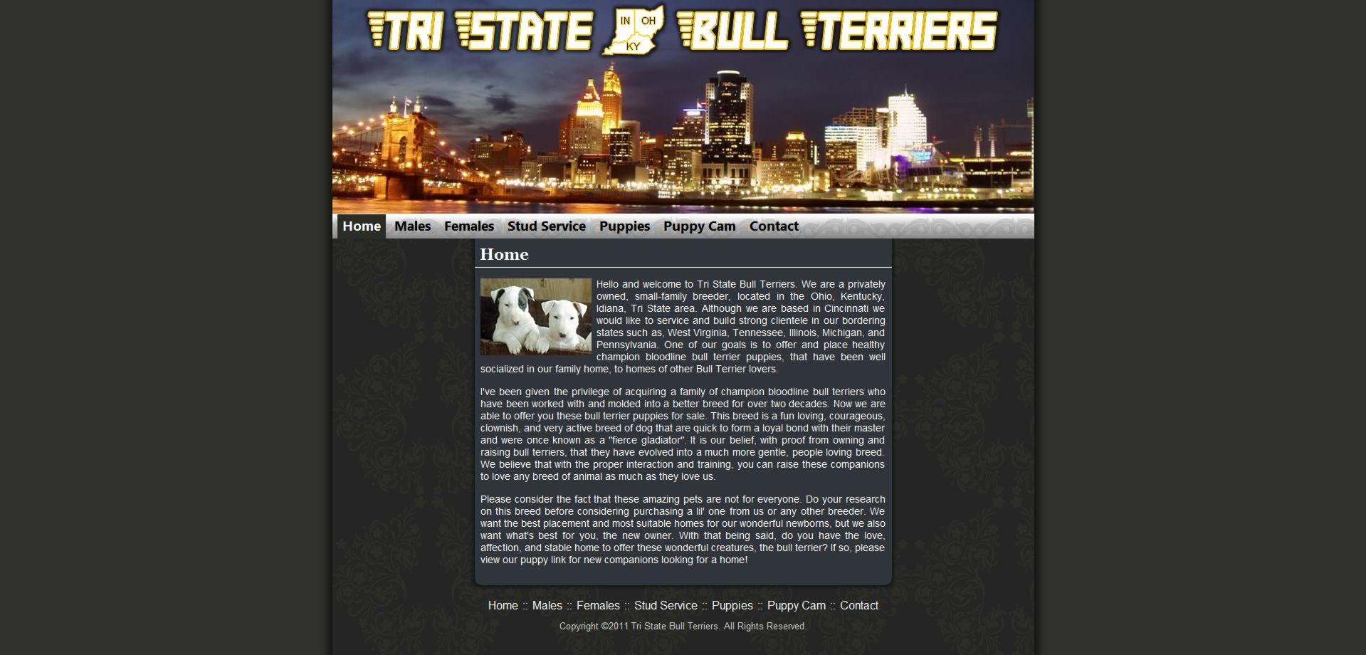 Tri State Bull Terriers - Desktop